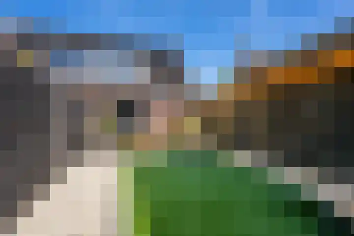 Torenvalk 27 Emmen thumbnail 40