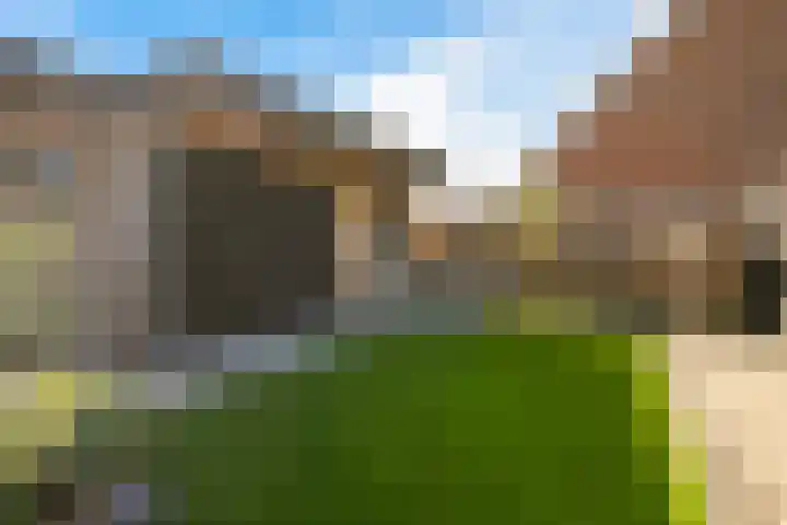 Torenvalk 27 Emmen thumbnail 41