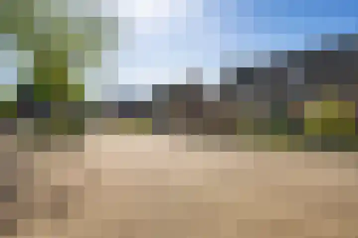 Torenvalk 27 Emmen thumbnail 48
