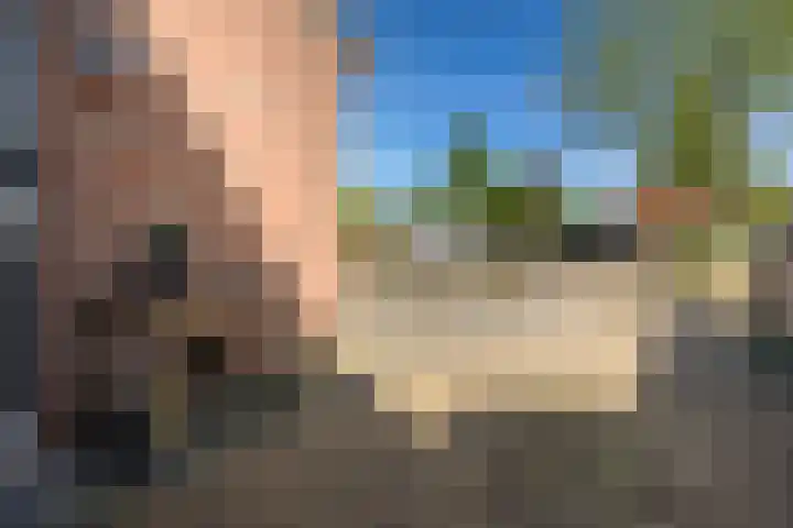 Torenvalk 27 Emmen thumbnail 5