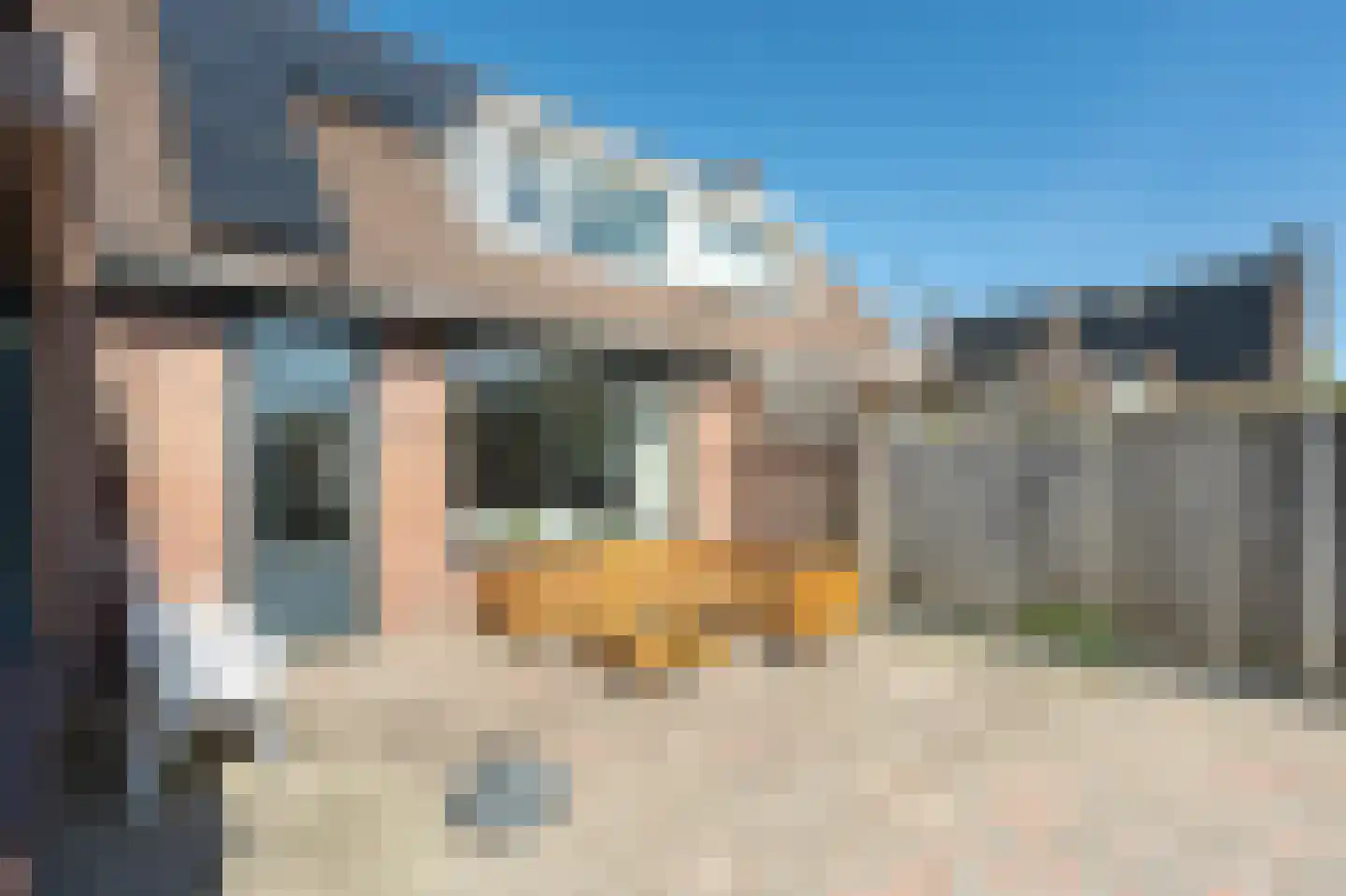 Torenvalk 28 Emmen thumbnail 29