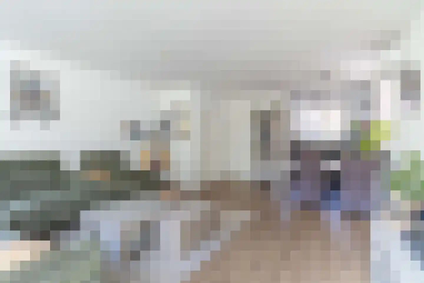 Torenvalk 29 Bunschoten-Spakenburg thumbnail 6