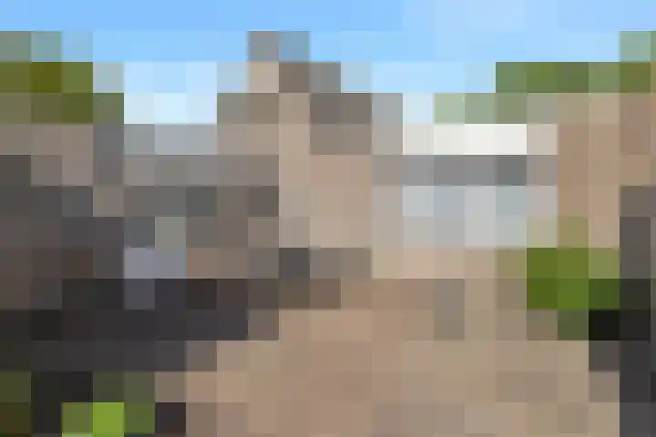 Torenvalk 3 Veldhoven thumbnail 38