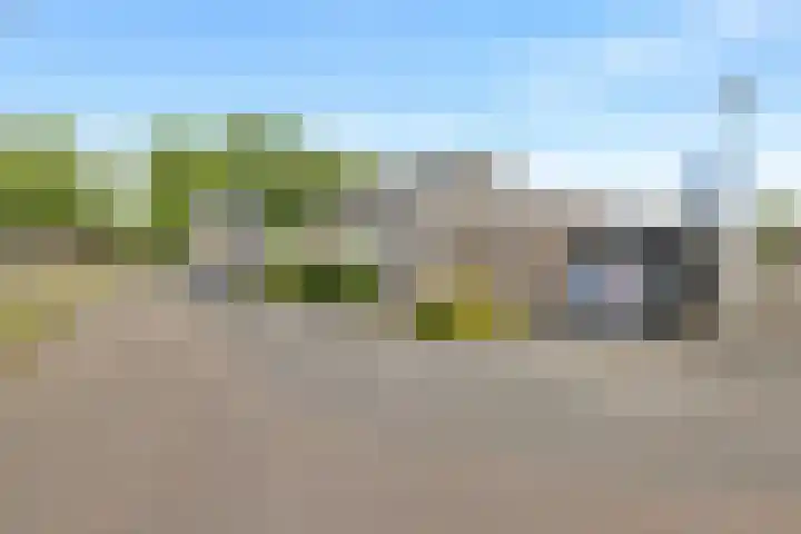 Torenvalk 3 Veldhoven thumbnail 42