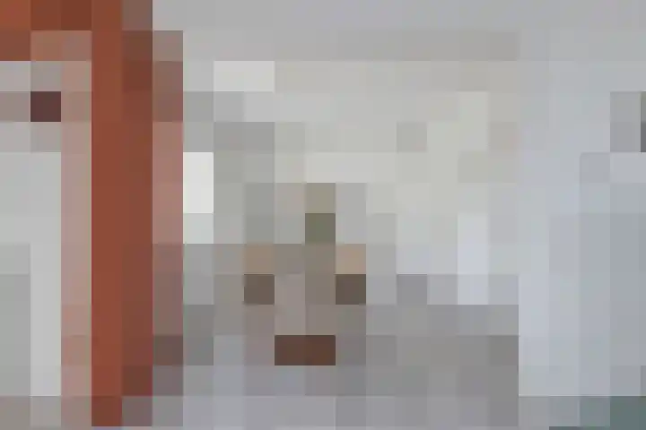 Torenvalk 3 Veldhoven thumbnail 7