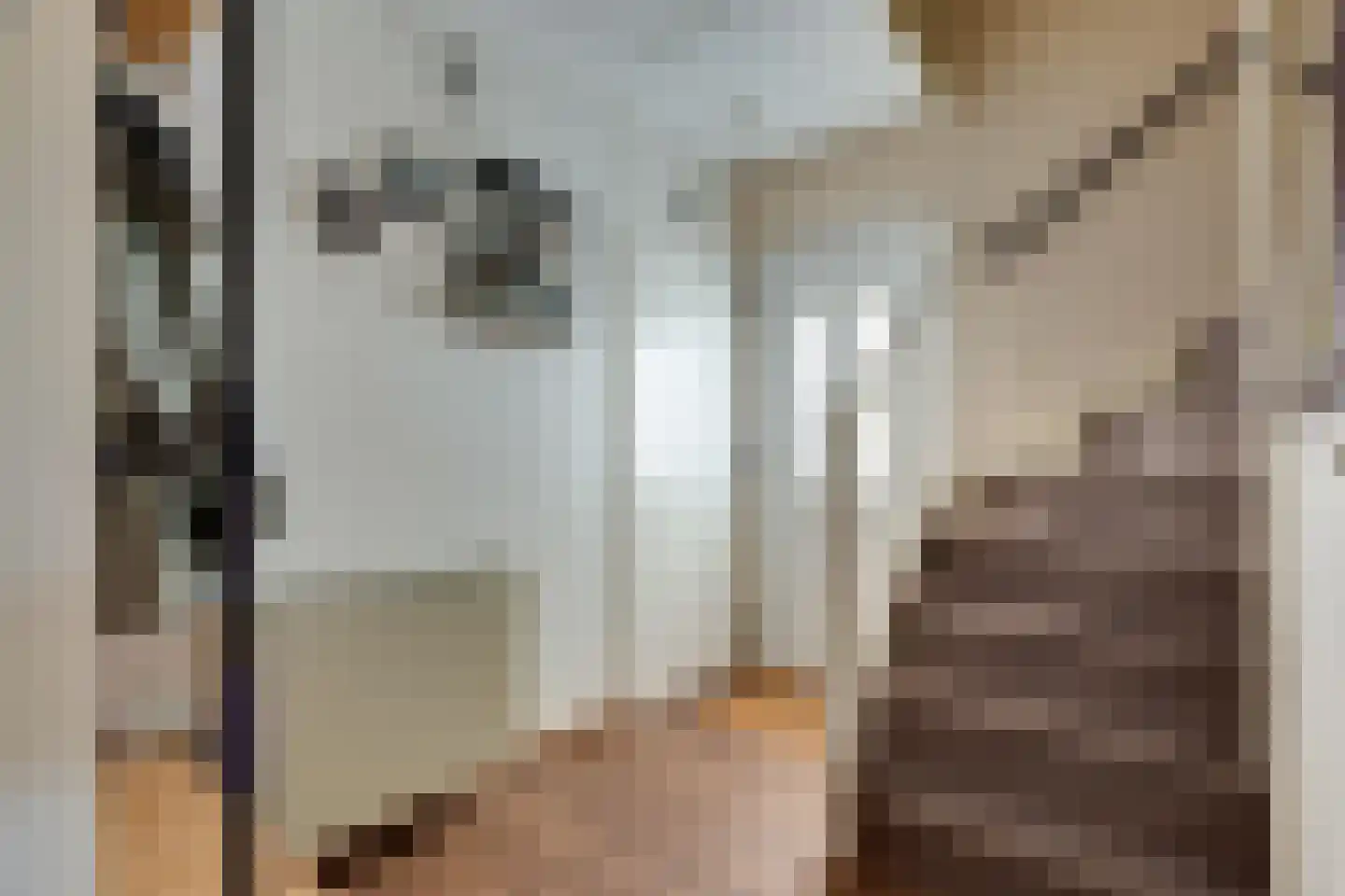 Torenvalk 33 Surhuisterveen thumbnail 21