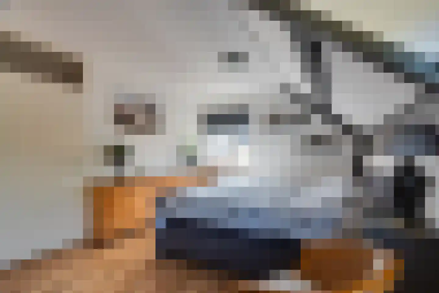 Torenvalk 33 Surhuisterveen thumbnail 29