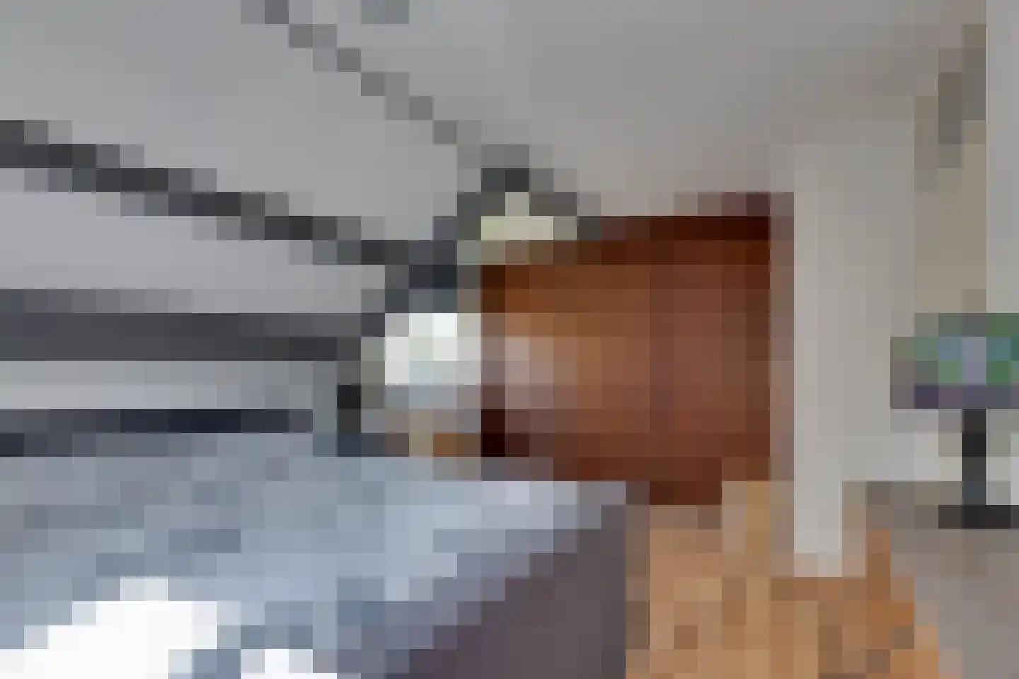 Torenvalk 33 Surhuisterveen thumbnail 30