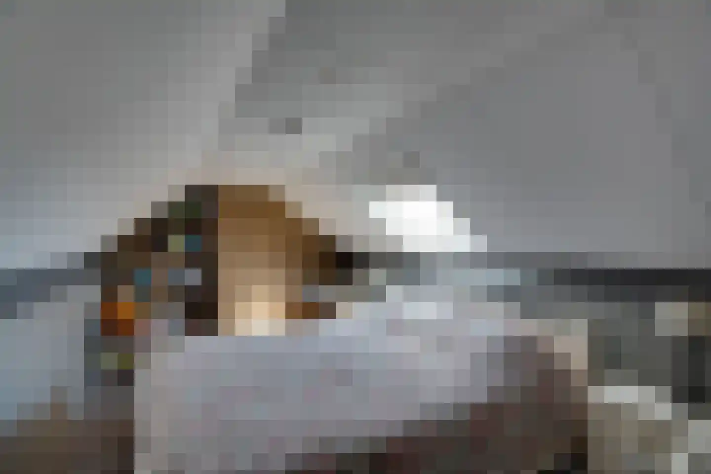 Torenvalk 33 Surhuisterveen thumbnail 35