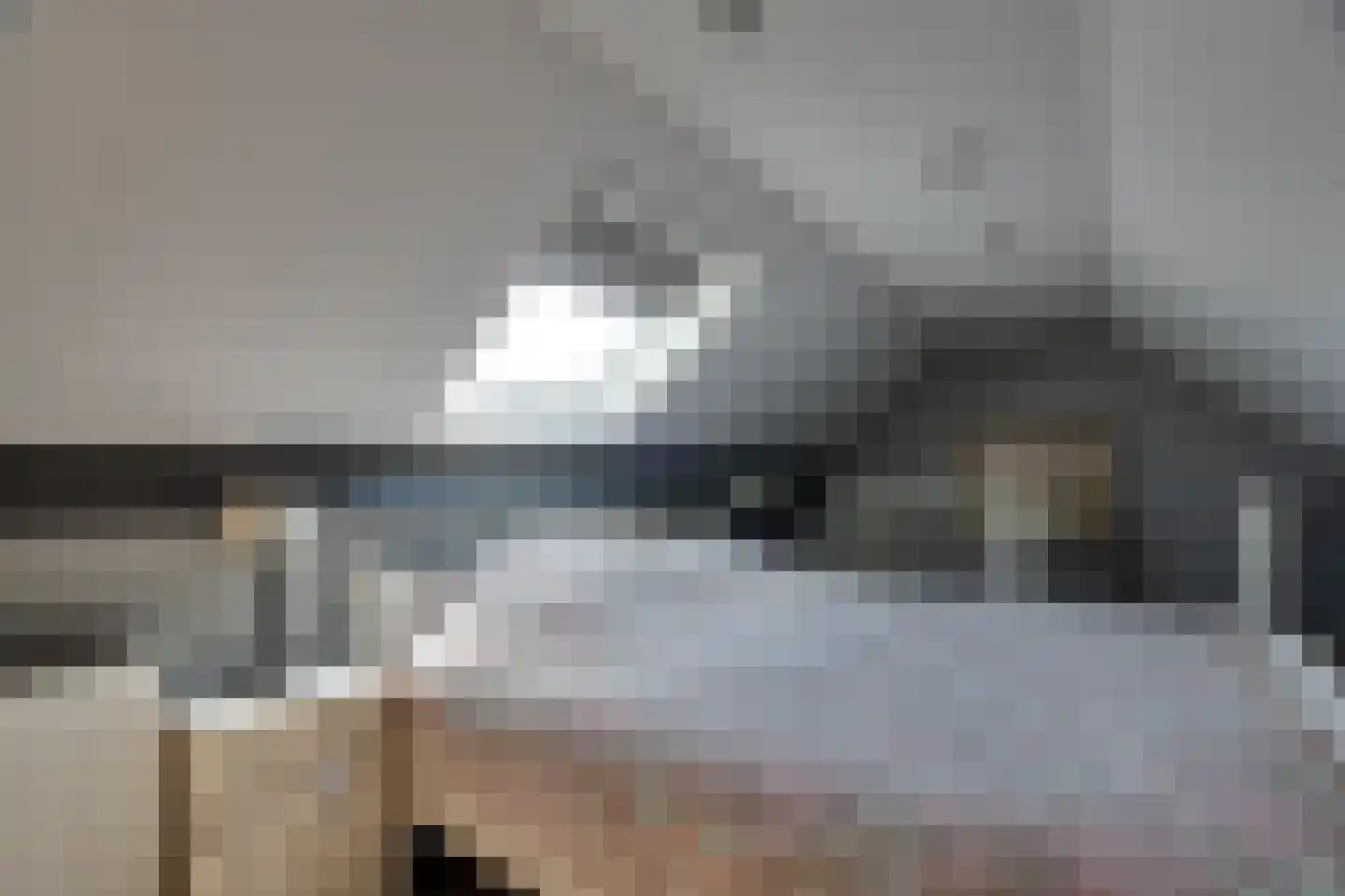 Torenvalk 33 Surhuisterveen thumbnail 36