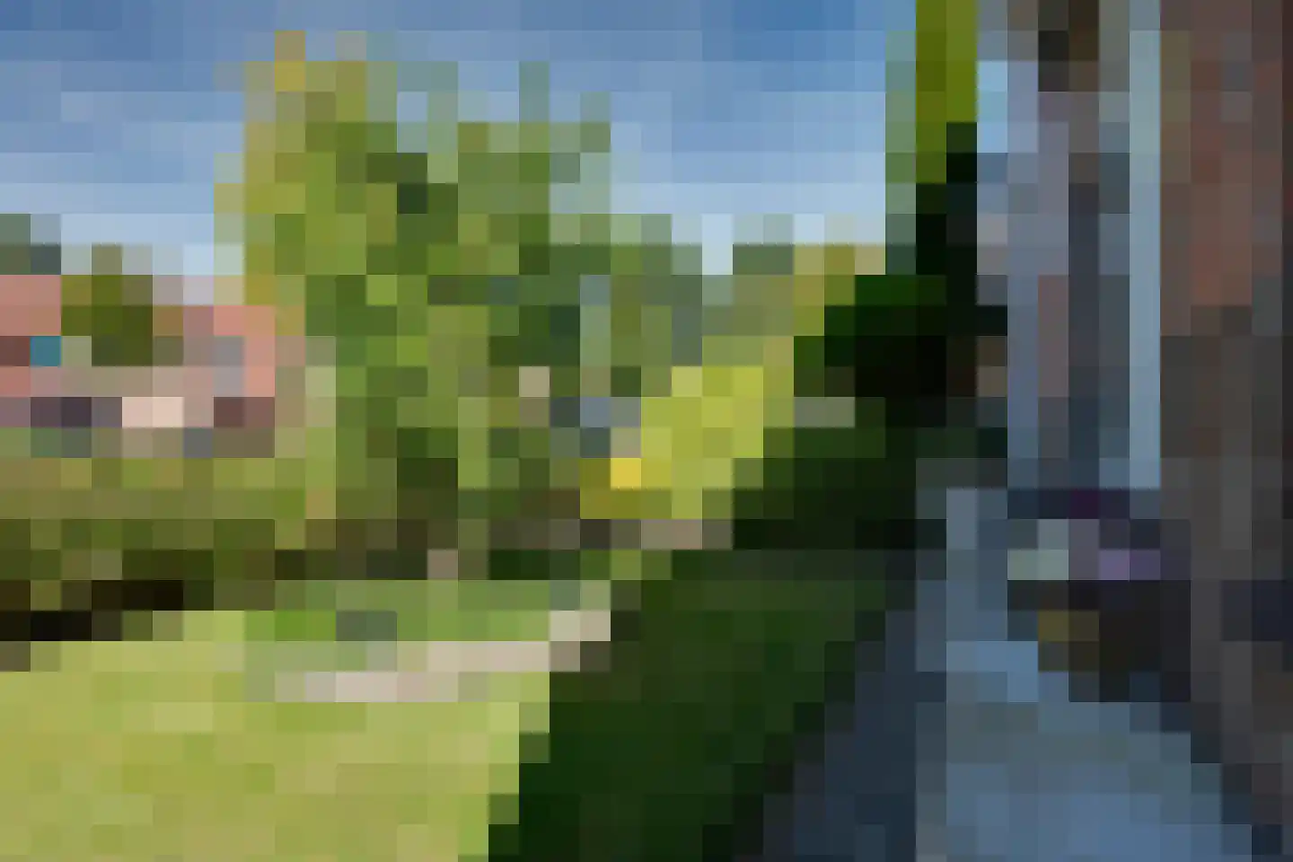 Torenvalk 33 Surhuisterveen thumbnail 37