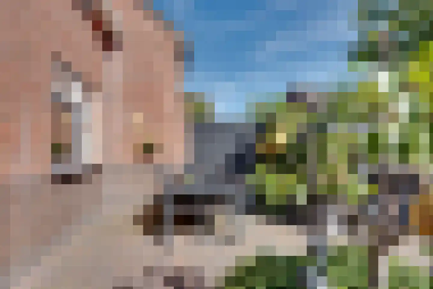 Torenvalk 33 Surhuisterveen thumbnail 40