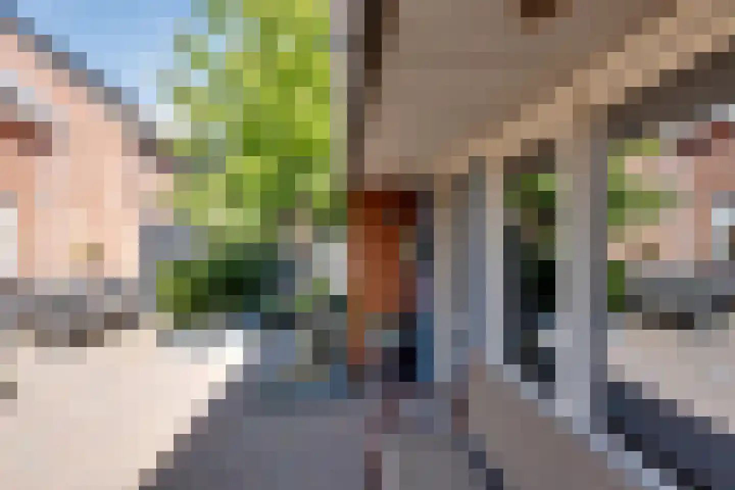 Torenvalk 33 Surhuisterveen thumbnail 45