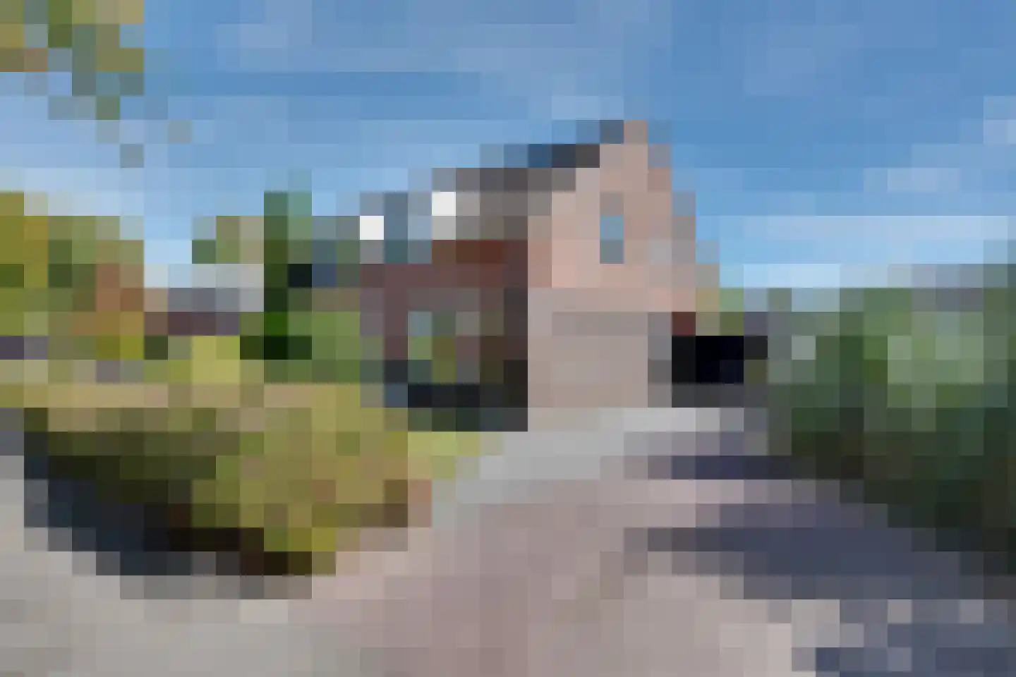 Torenvalk 33 Surhuisterveen thumbnail 48
