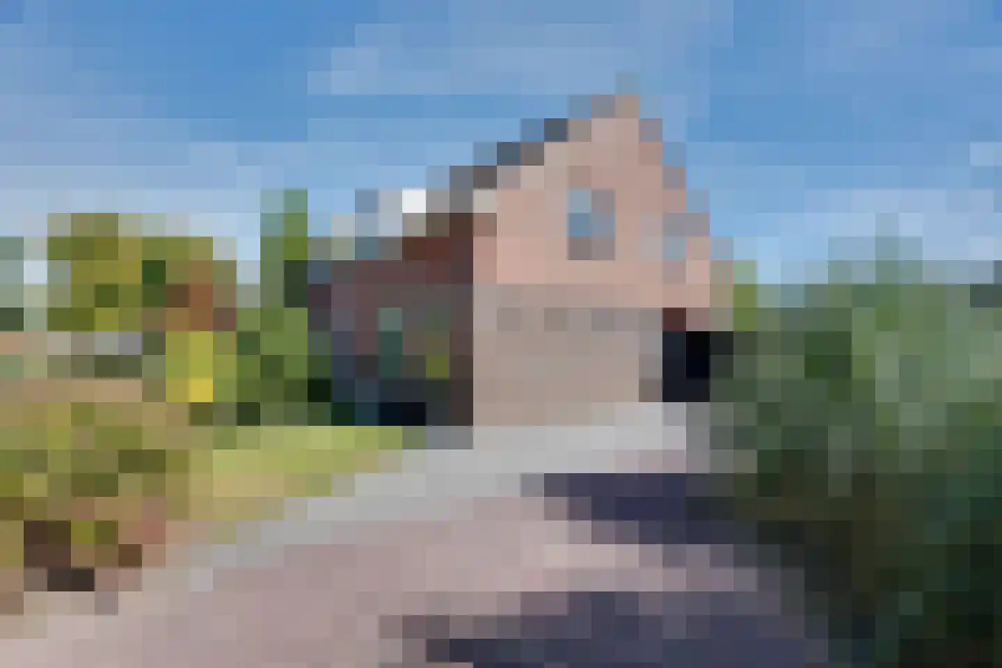 Torenvalk 33 Surhuisterveen thumbnail 7