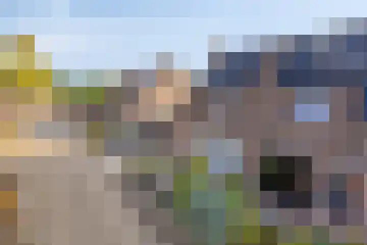 Torenvalk 35 Emmen thumbnail 10