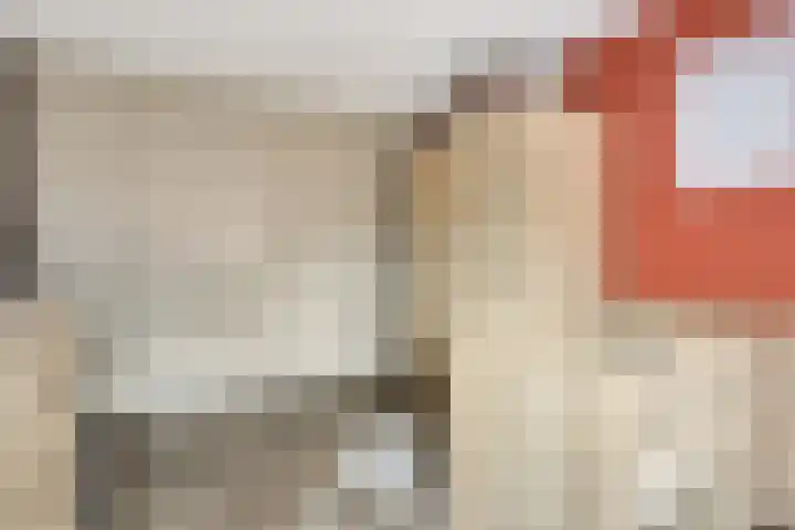 Torenvalk 35 Emmen thumbnail 33