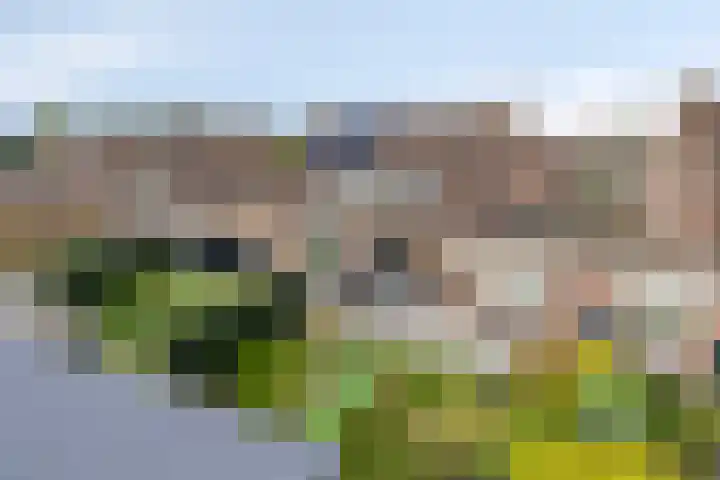Torenvalk 35 Emmen thumbnail 36