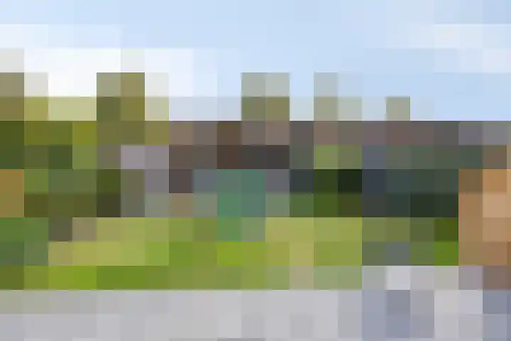 Torenvalk 35 Emmen thumbnail 37