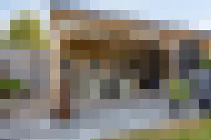 Torenvalk 35 Emmen thumbnail 4