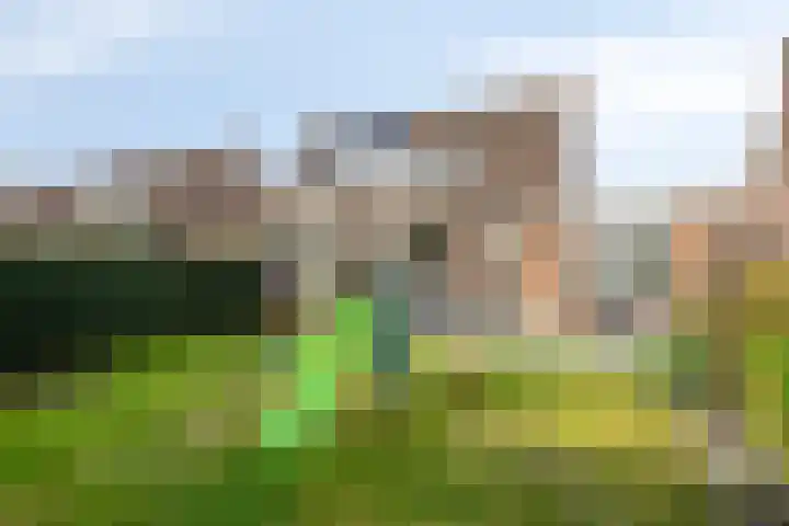 Torenvalk 35 Emmen thumbnail 42