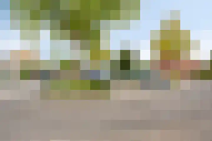 Torenvalk 35 Emmen thumbnail 43