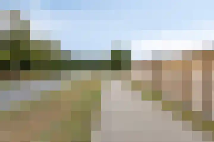 Torenvalk 35 Emmen thumbnail 44
