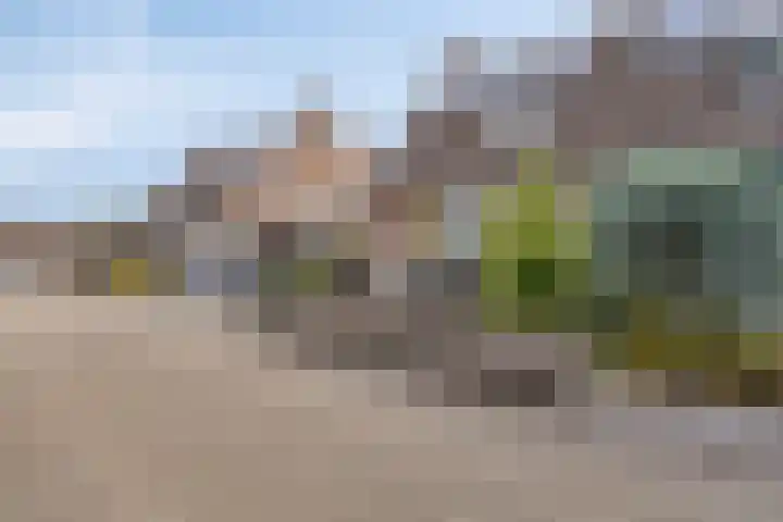 Torenvalk 35 Emmen thumbnail 6