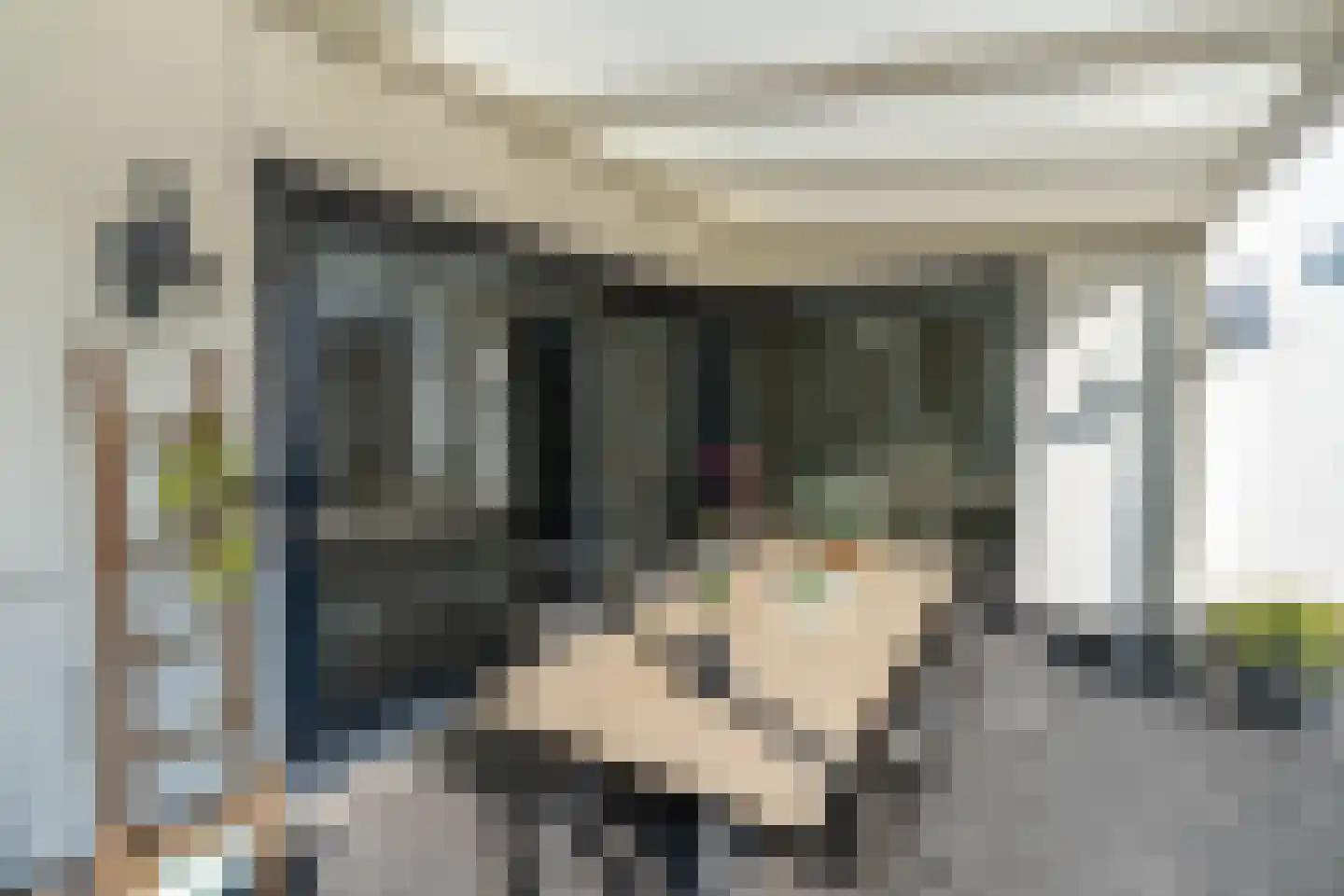 Torenvalk 36 Venray thumbnail 16