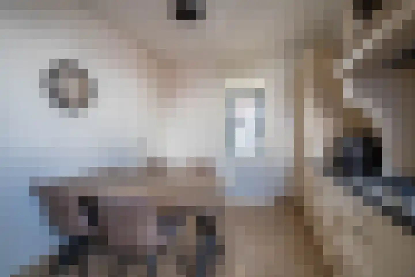 Torenvalk 36 Venray thumbnail 23