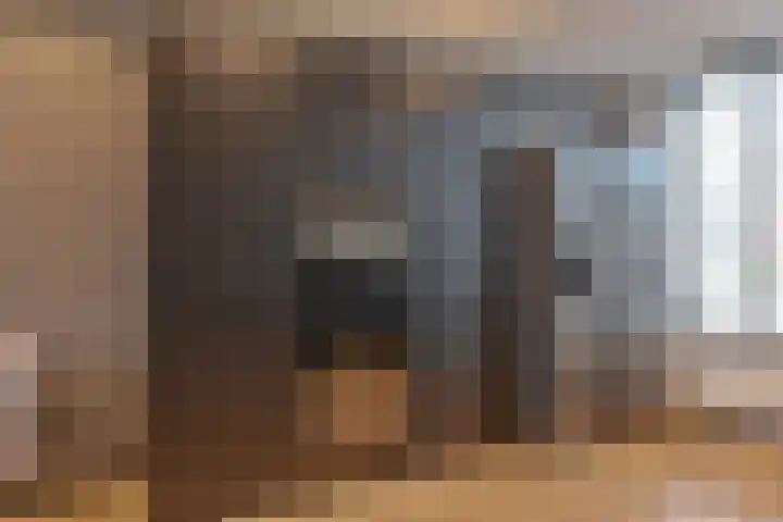 Torenvalk 37 Emmen thumbnail 19