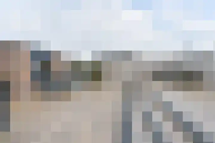 Torenvalk 37 Emmen thumbnail 67