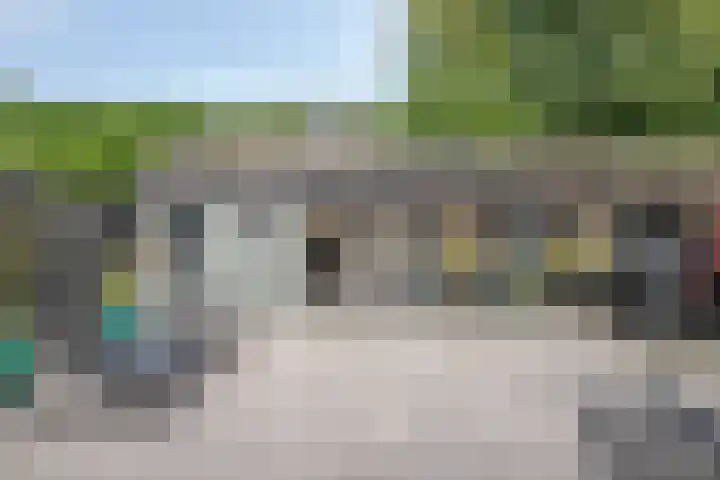 Torenvalk 41 Bunschoten-Spakenburg thumbnail 26