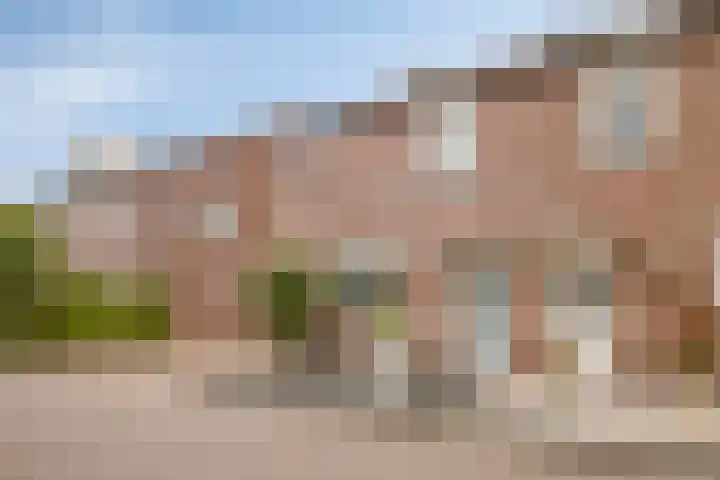 Torenvalk 41 Bunschoten-Spakenburg thumbnail 29