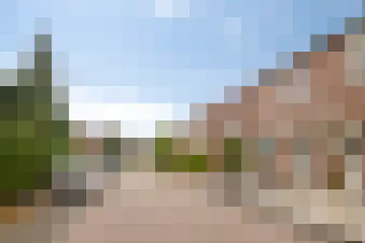 Torenvalk 41 Bunschoten-Spakenburg thumbnail 30
