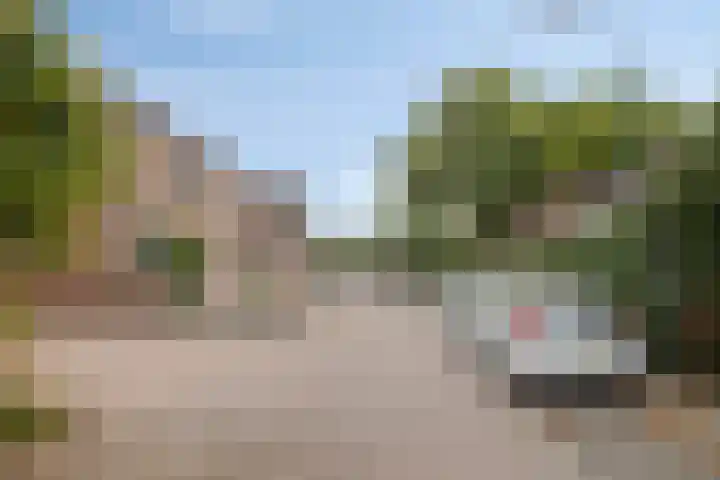 Torenvalk 41 Bunschoten-Spakenburg thumbnail 31