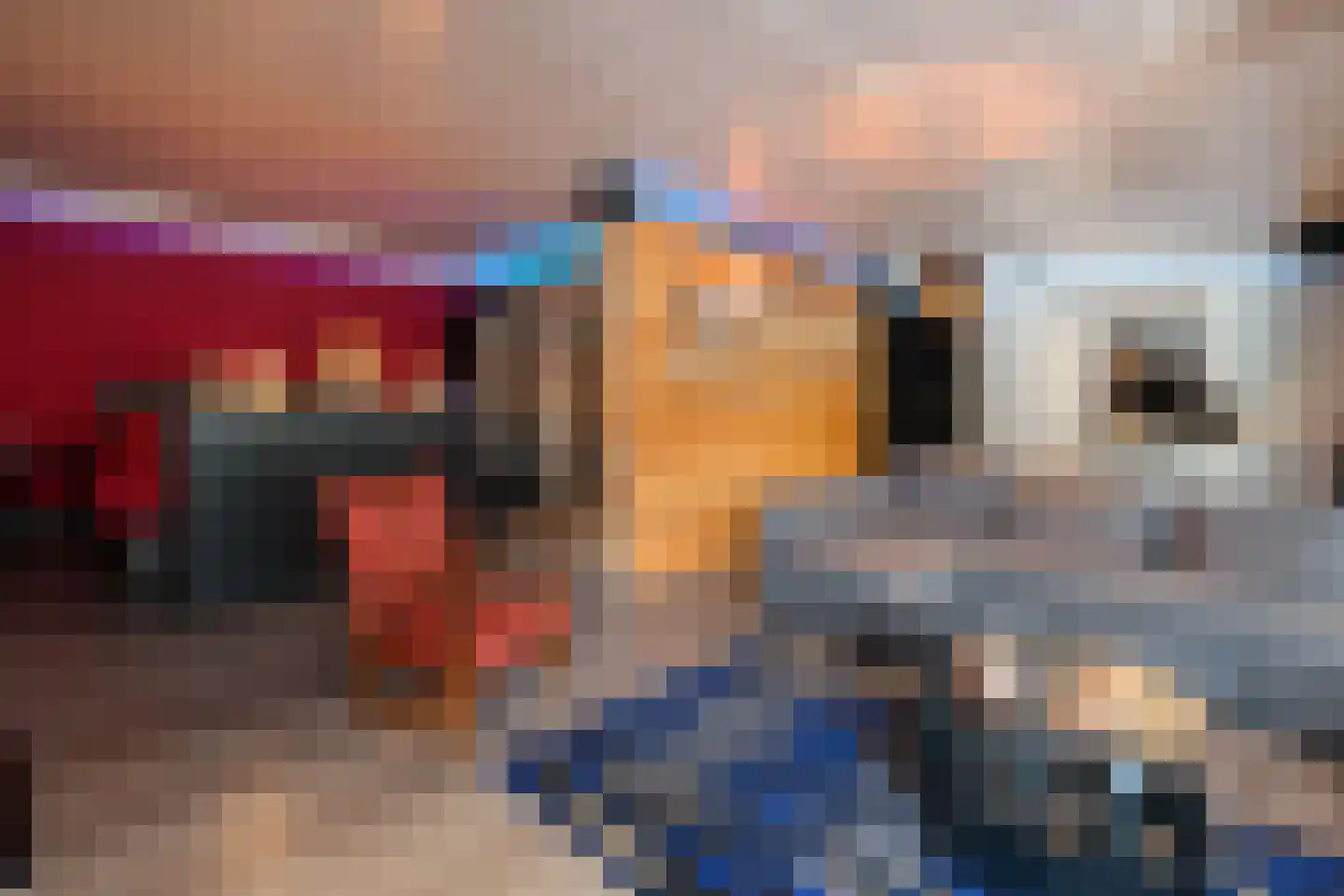 Torenvalk 41 Raalte thumbnail 19