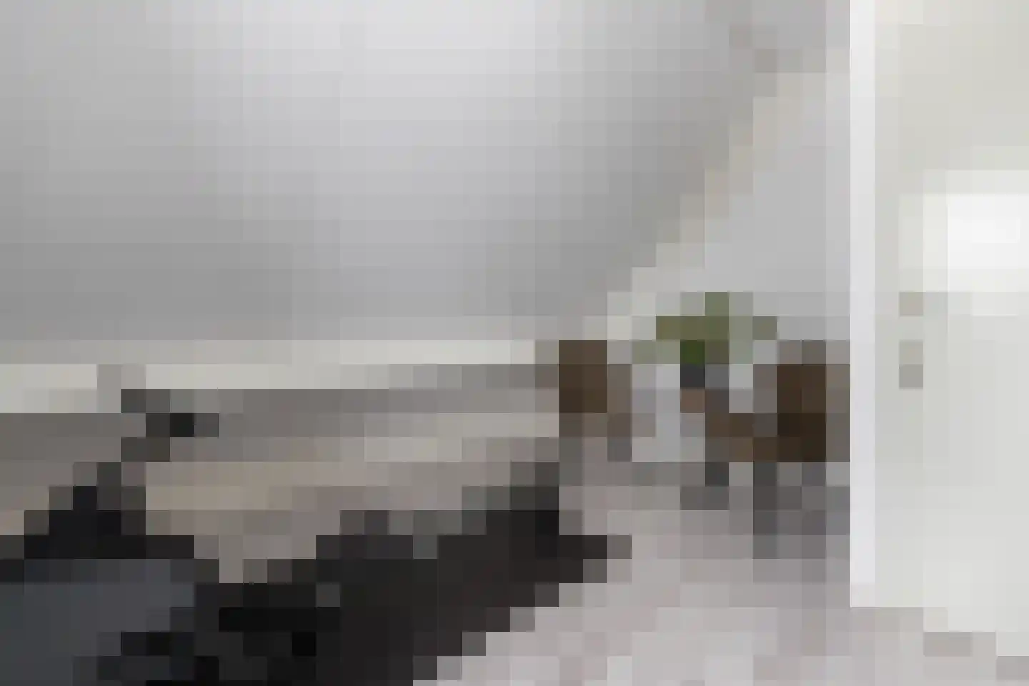 Torenvalk 41 Raalte thumbnail 34