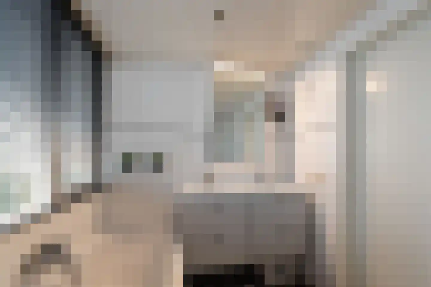 Torenvalk 41 Raalte thumbnail 36