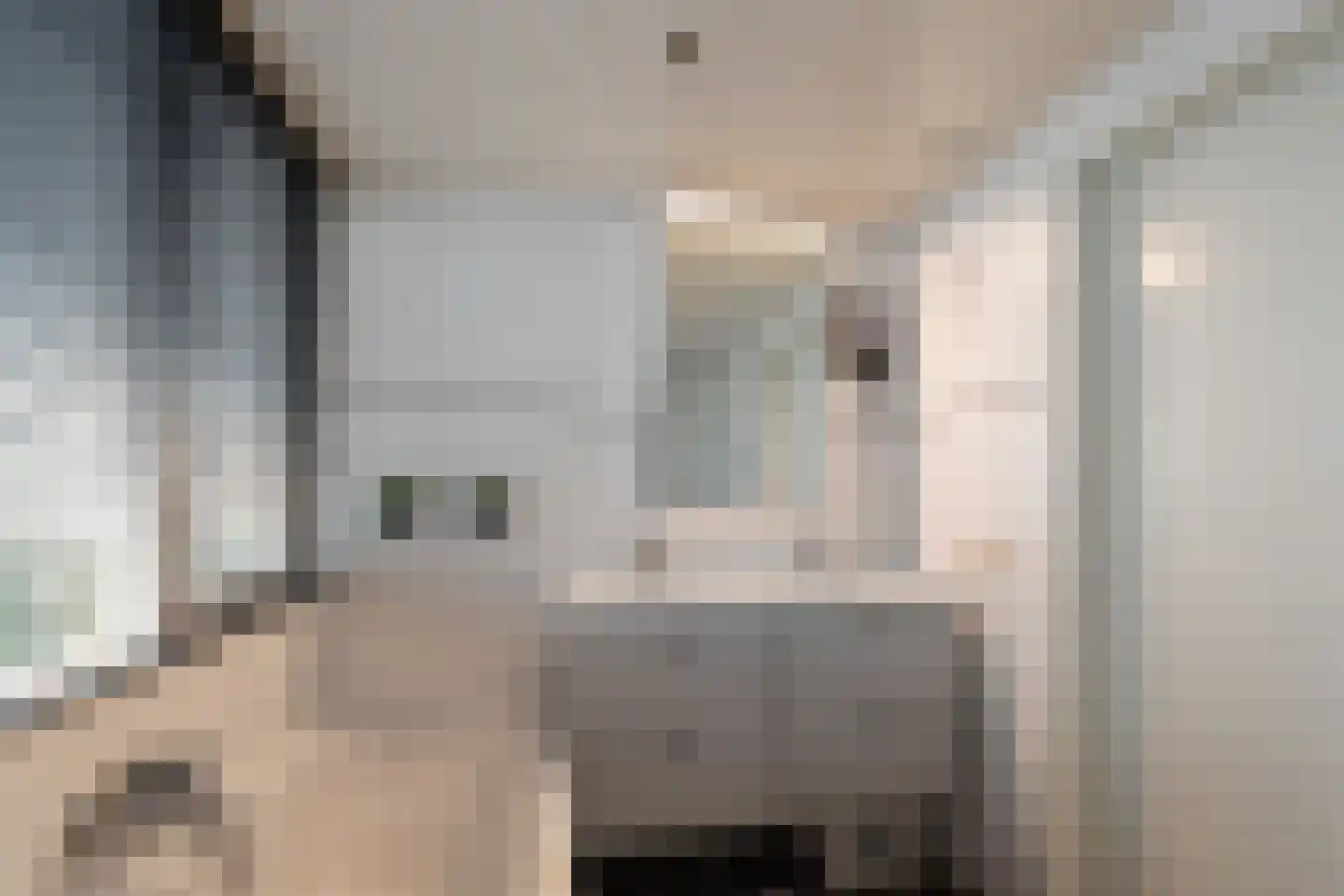 Torenvalk 41 Raalte thumbnail 36