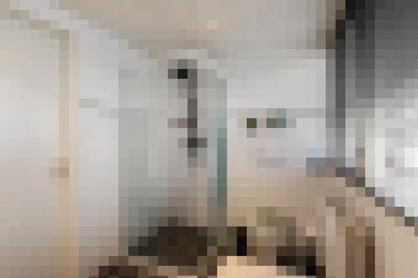 Torenvalk 41 Raalte thumbnail 37