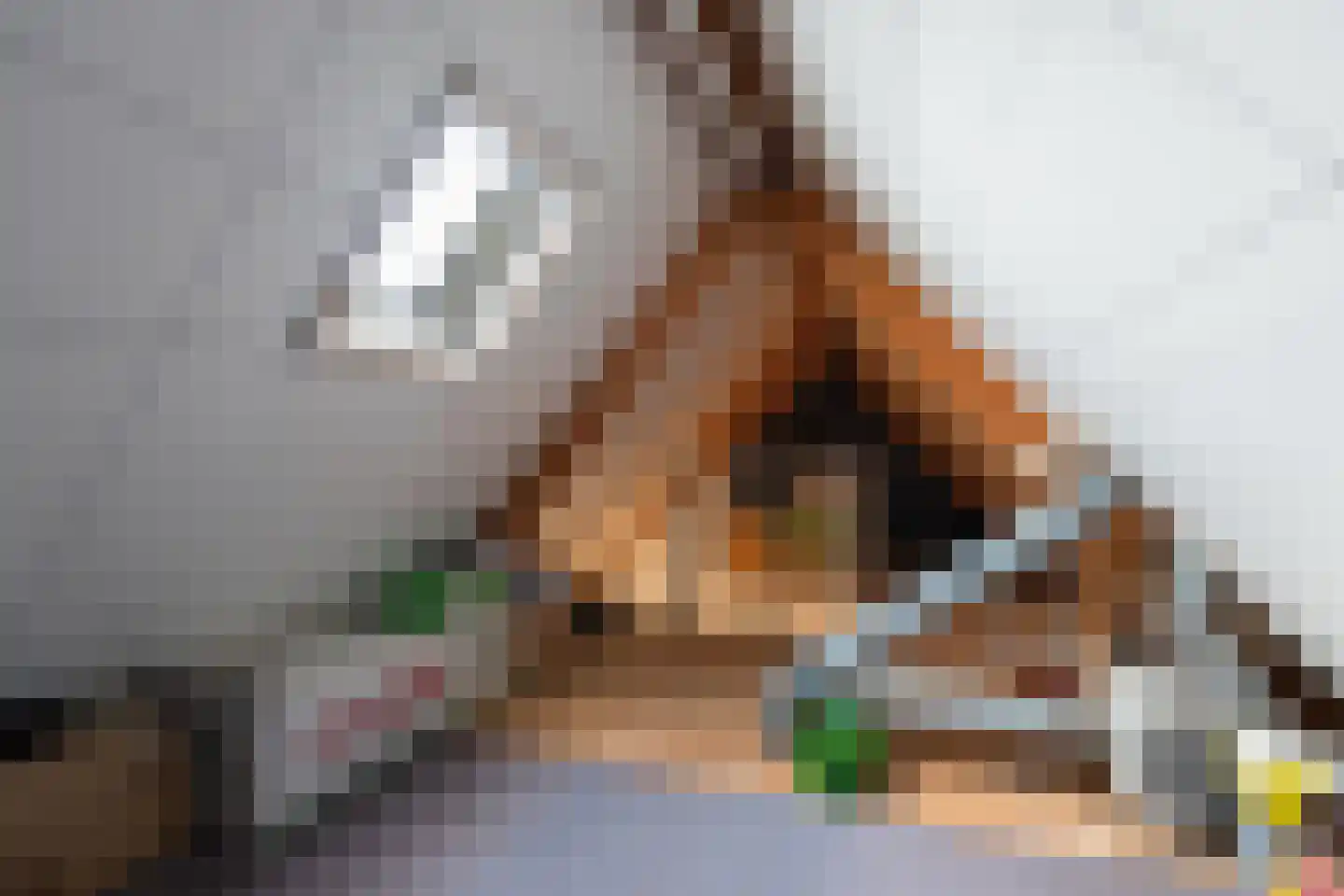 Torenvalk 41 Raalte thumbnail 38