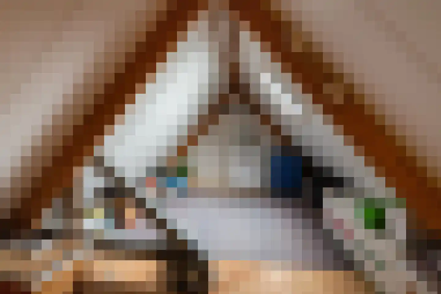 Torenvalk 41 Raalte thumbnail 39