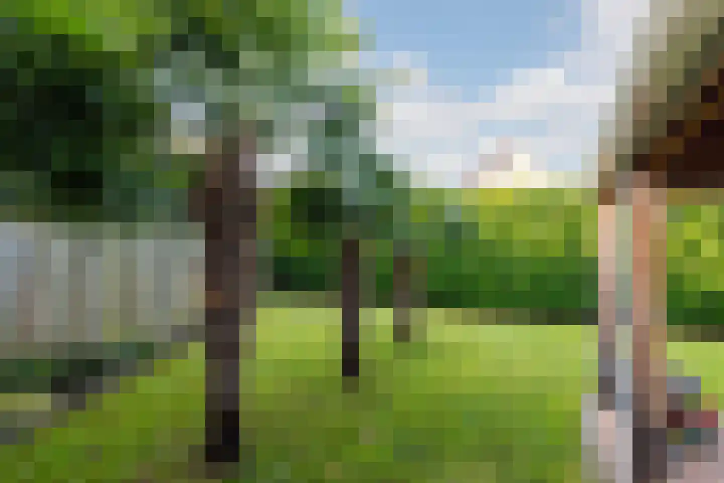 Torenvalk 41 Raalte thumbnail 44