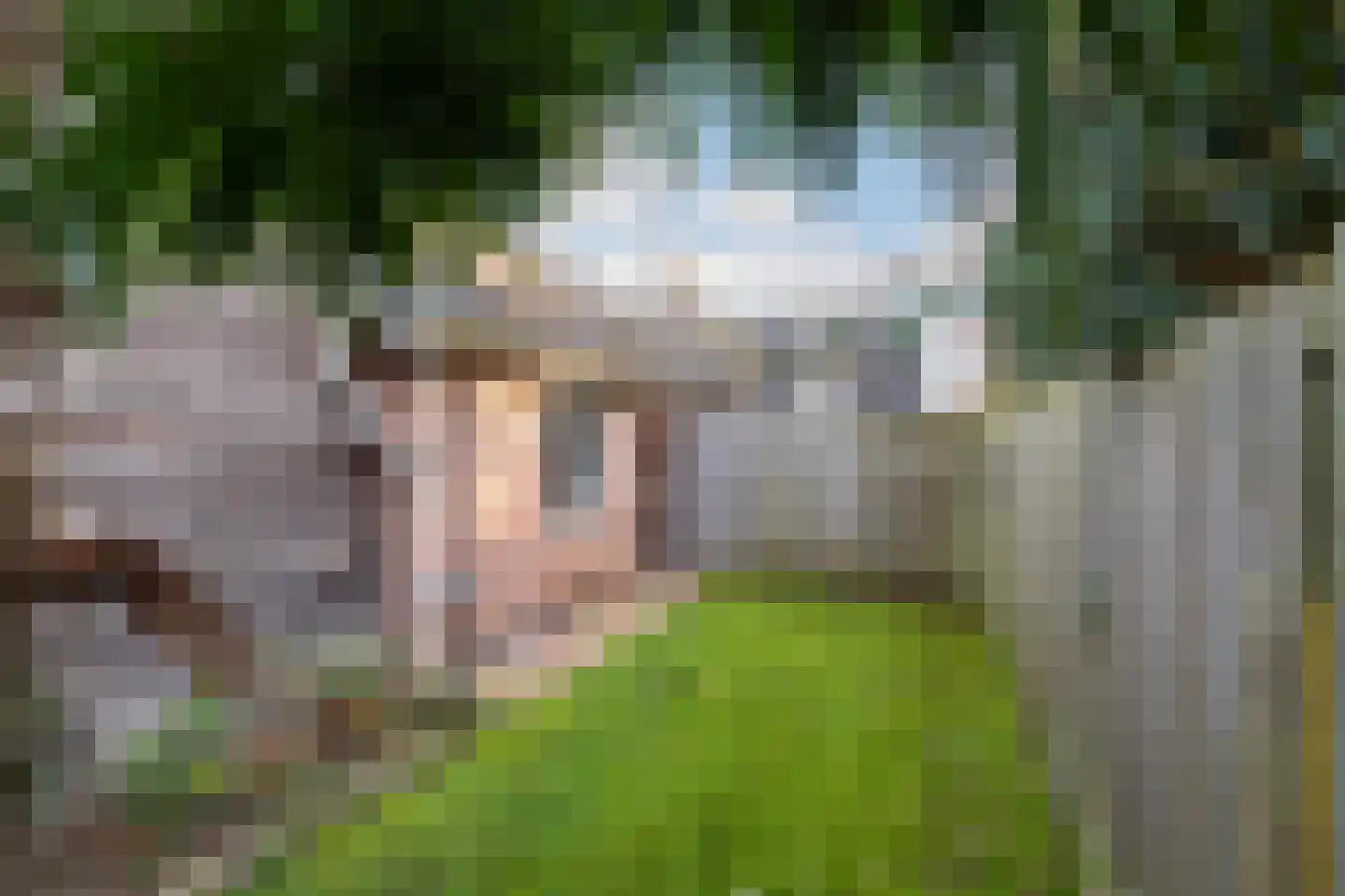 Torenvalk 41 Raalte thumbnail 47
