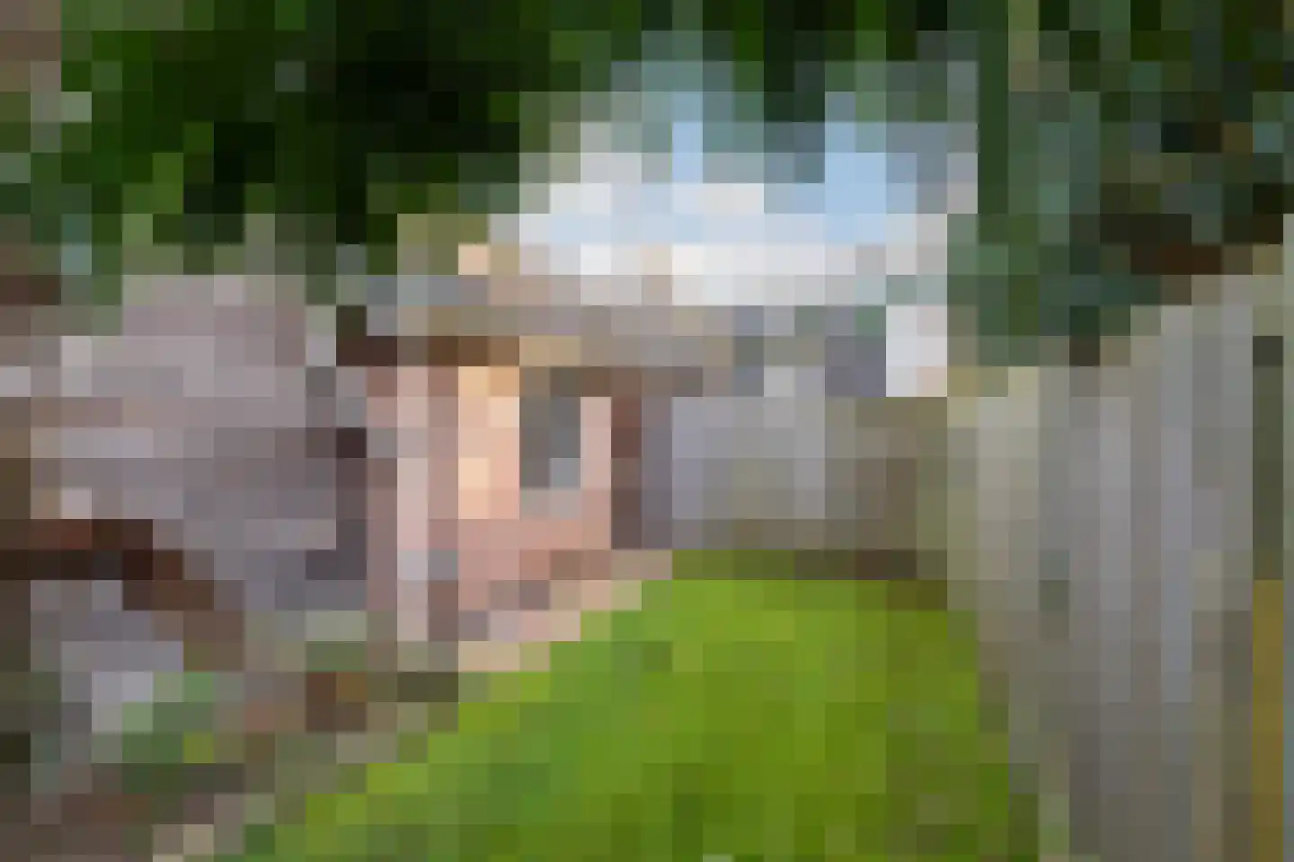 Torenvalk 41 Raalte thumbnail 47
