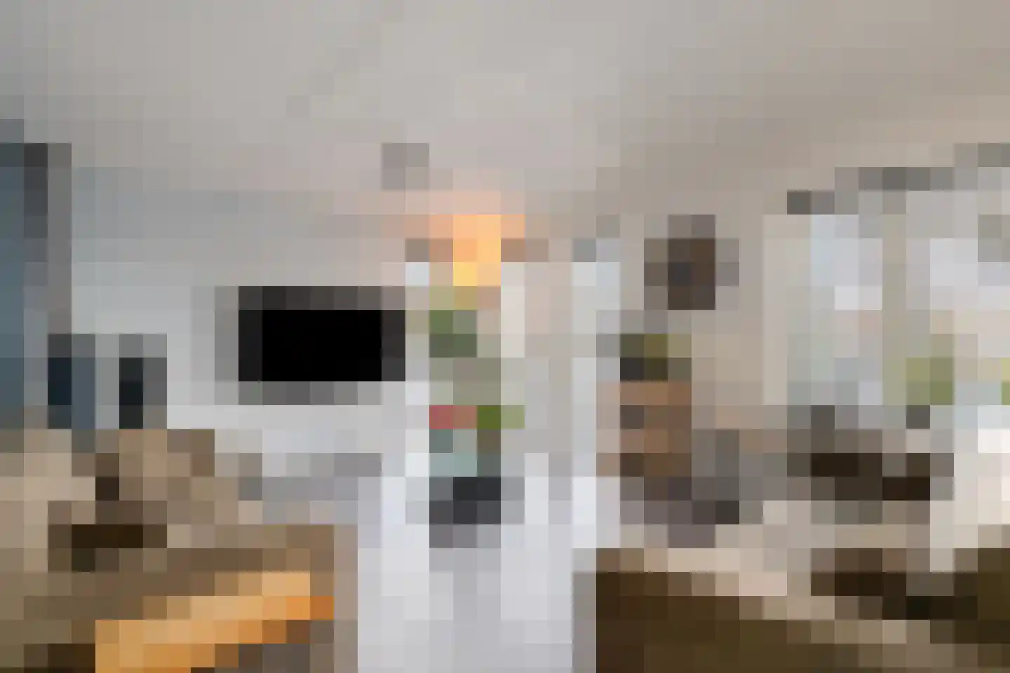 Torenvalk 41 Raalte thumbnail 6
