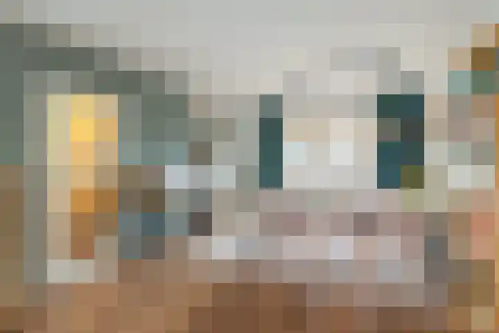 Torenvalk 43 Raalte thumbnail 14