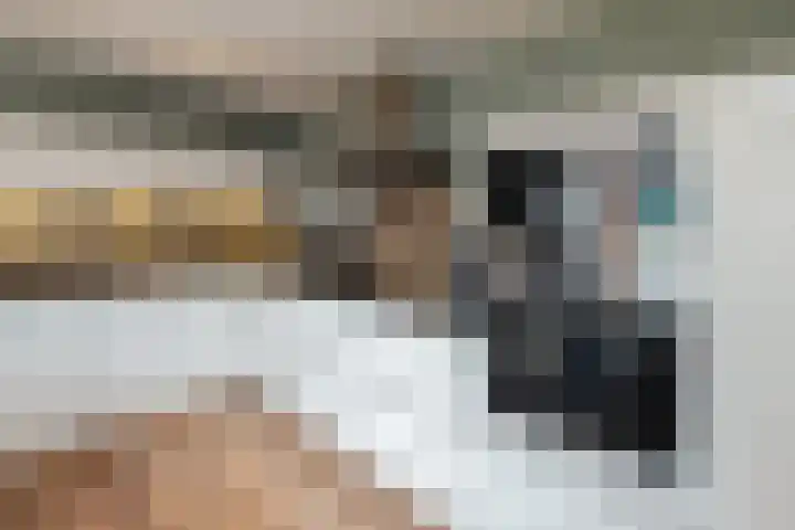 Torenvalk 43 Raalte thumbnail 18