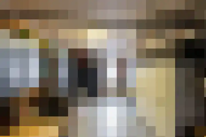 Torenvalk 43 Raalte thumbnail 23